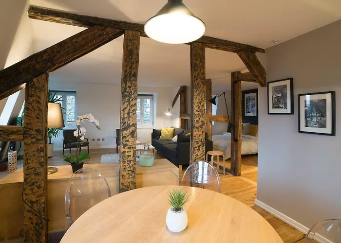 Apartmán Cocoon Hypercentre Štrasburk